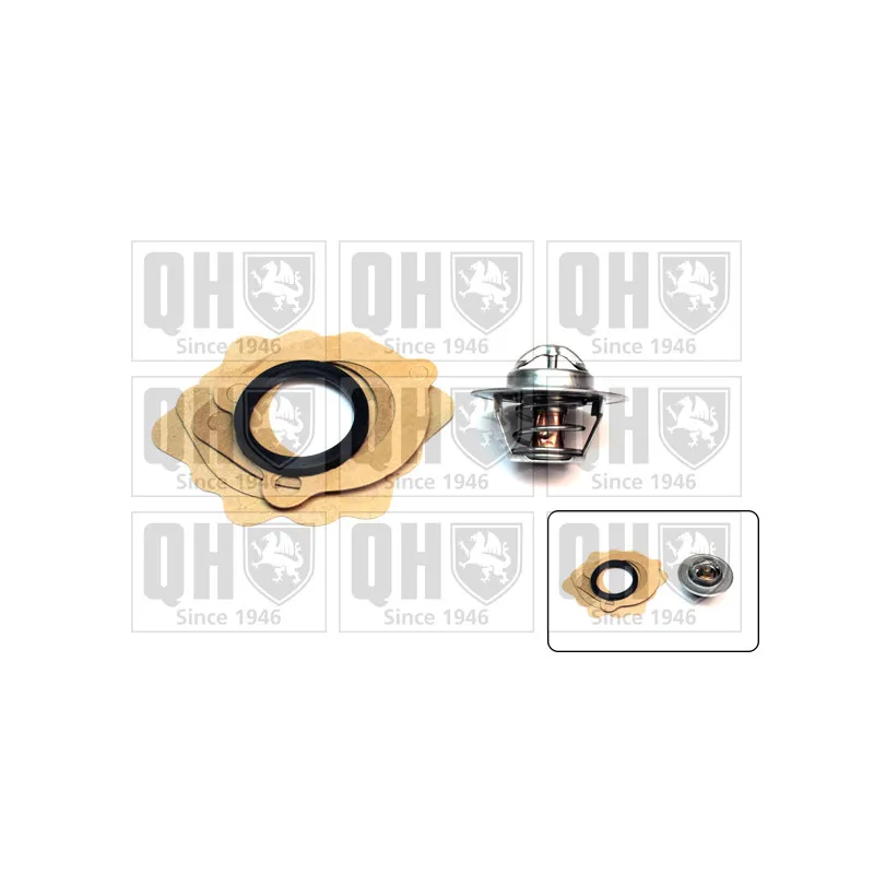 Thermostat d'eau QUINTON HAZELL QTH107K