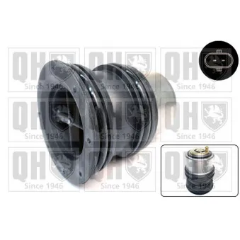 Thermostat d'eau QUINTON HAZELL