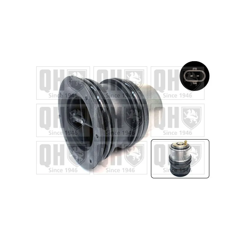 Thermostat d'eau QUINTON HAZELL QTH1110K