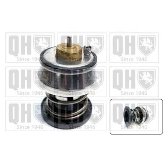 Thermostat, liquide de refroidissement QUINTON HAZELL QTH1119K
