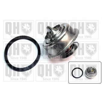 Thermostat d'eau QUINTON HAZELL QTH116K