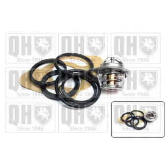 Thermostat d'eau QUINTON HAZELL QTH118K