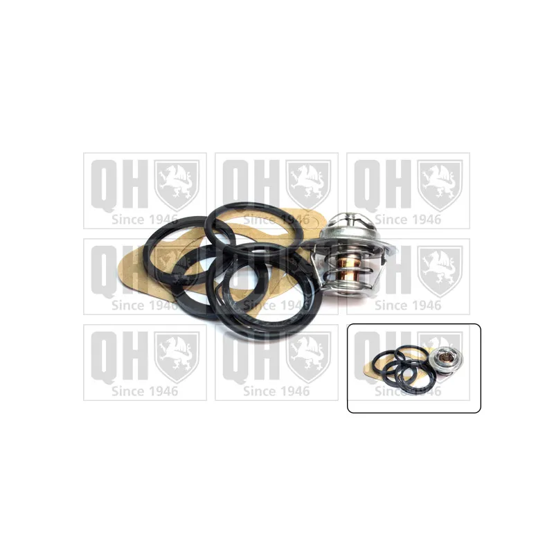 Thermostat d'eau QUINTON HAZELL QTH118K