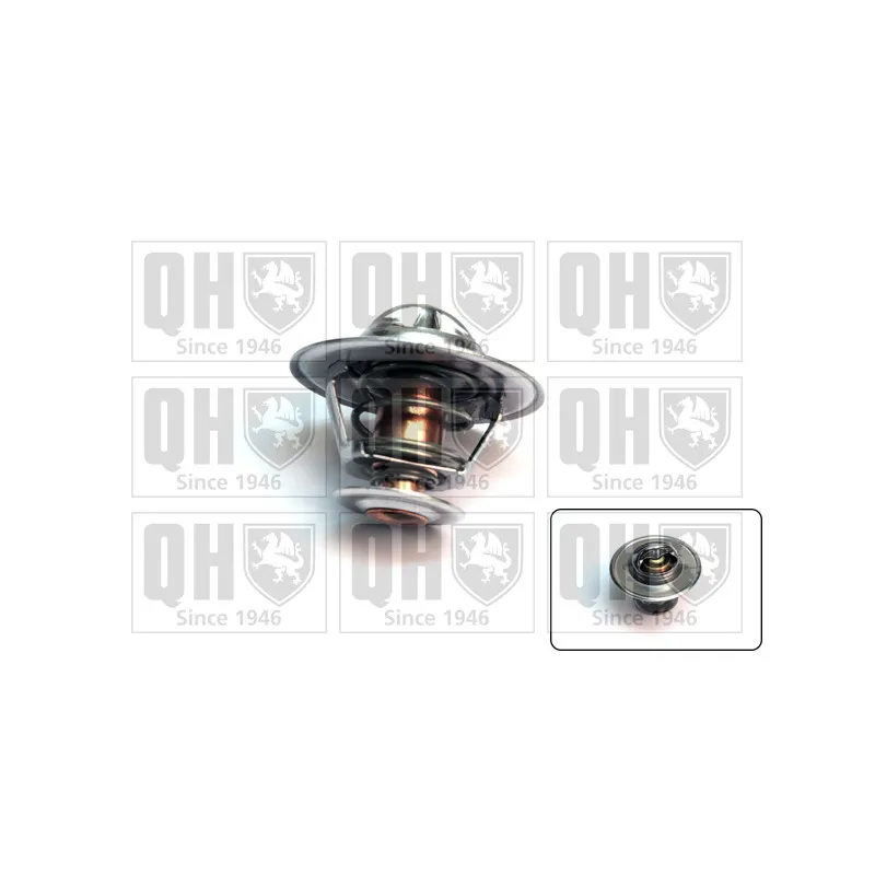 Thermostat d'eau QUINTON HAZELL QTH120