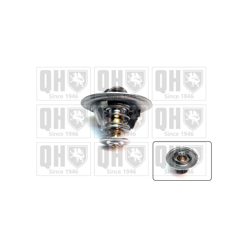 Thermostat d'eau QUINTON HAZELL QTH125