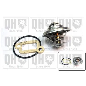Thermostat d'eau QUINTON HAZELL QTH132K