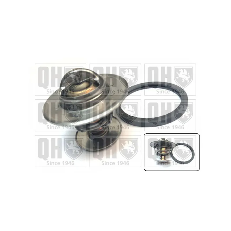 Thermostat d'eau QUINTON HAZELL QTH135K