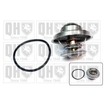 Thermostat d'eau QUINTON HAZELL QTH138K
