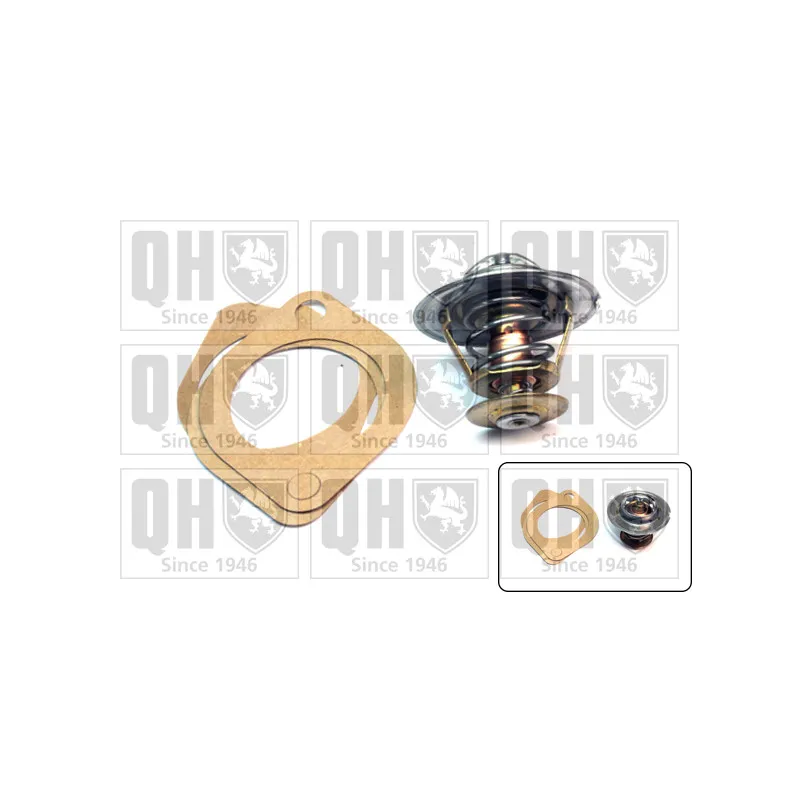 Thermostat d'eau QUINTON HAZELL QTH165K