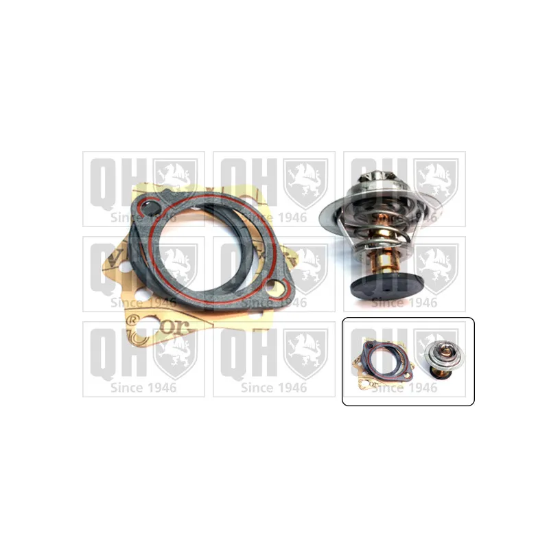 Thermostat d'eau QUINTON HAZELL QTH179K