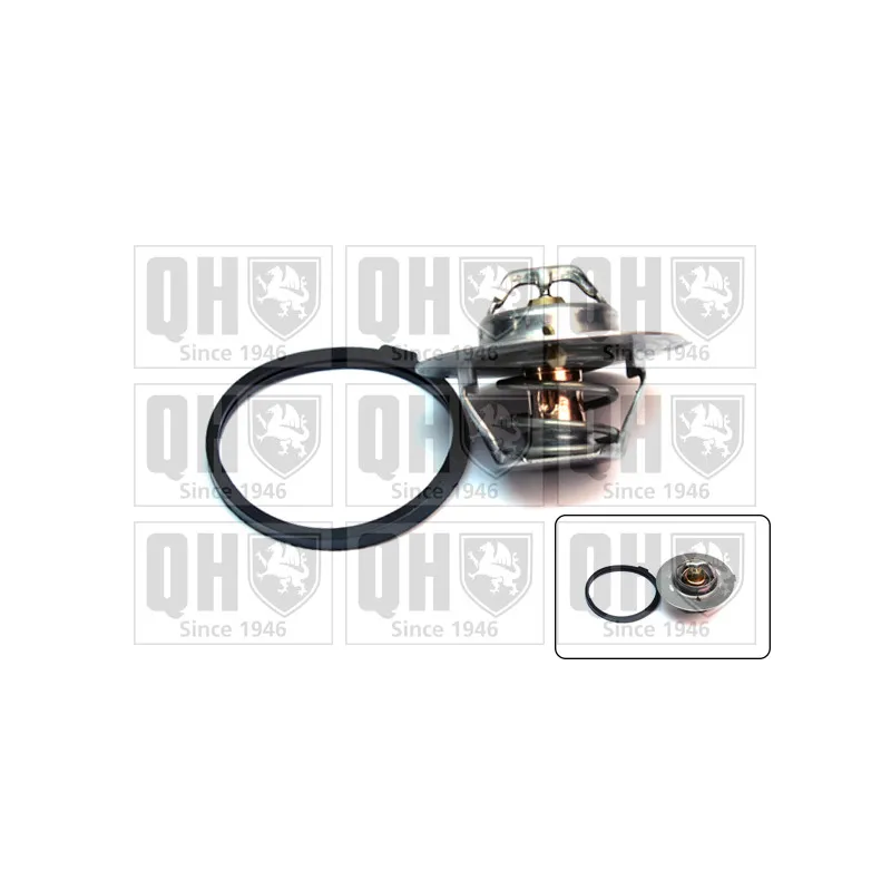 Thermostat d'eau QUINTON HAZELL QTH182K
