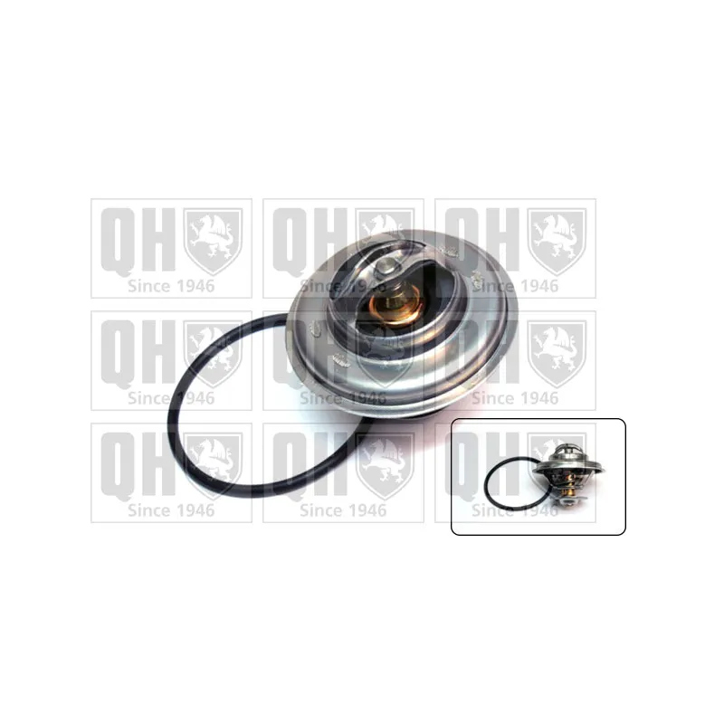 Thermostat d'eau QUINTON HAZELL QTH206K