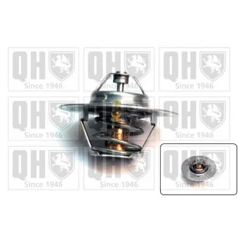 Thermostat d'eau QUINTON HAZELL QTH208