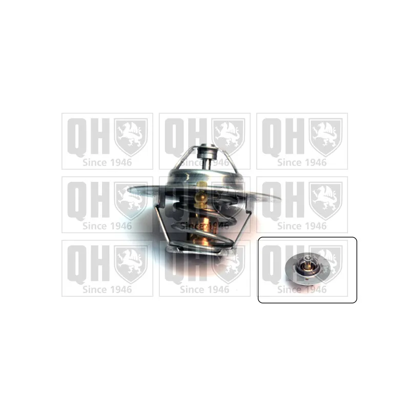 Thermostat d'eau QUINTON HAZELL QTH208