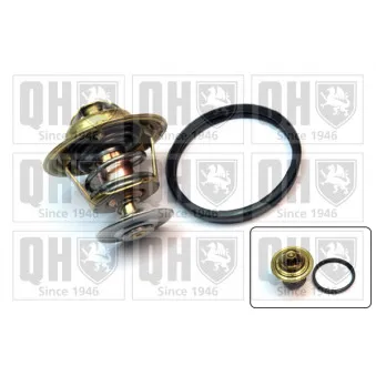 Thermostat d'eau QUINTON HAZELL QTH210K