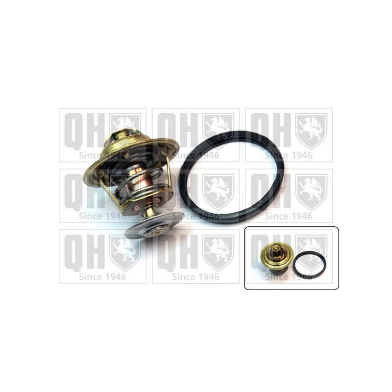 Thermostat d'eau QUINTON HAZELL QTH210K