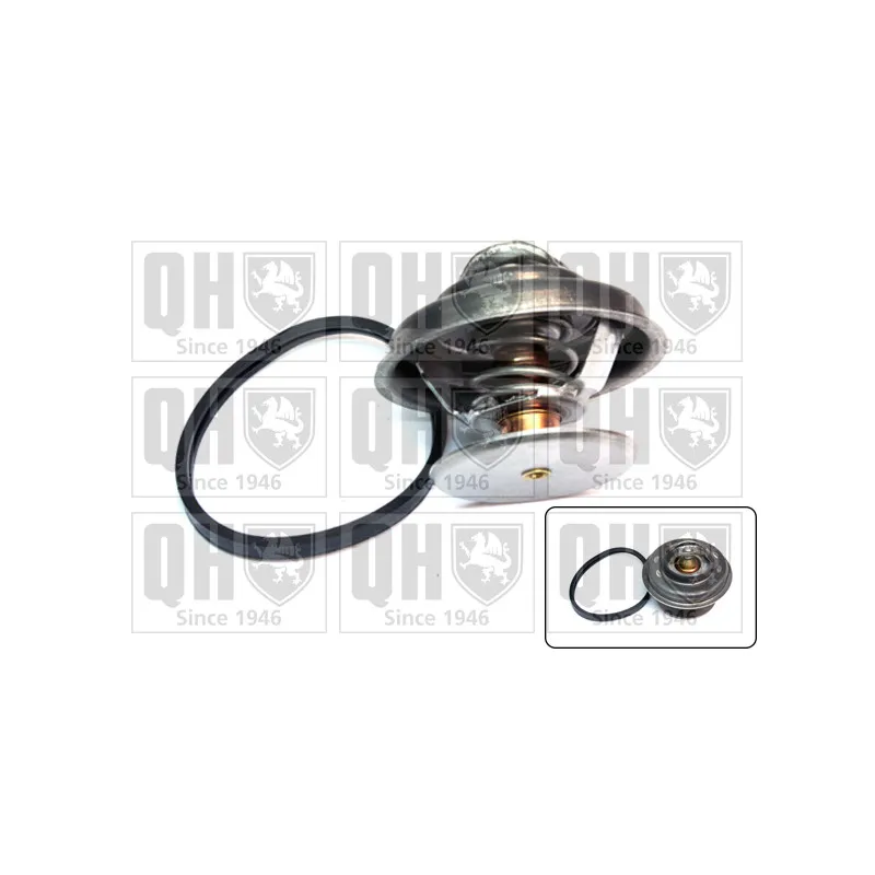 Thermostat d'eau QUINTON HAZELL QTH227K