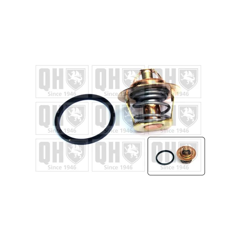 Thermostat d'eau QUINTON HAZELL QTH229K