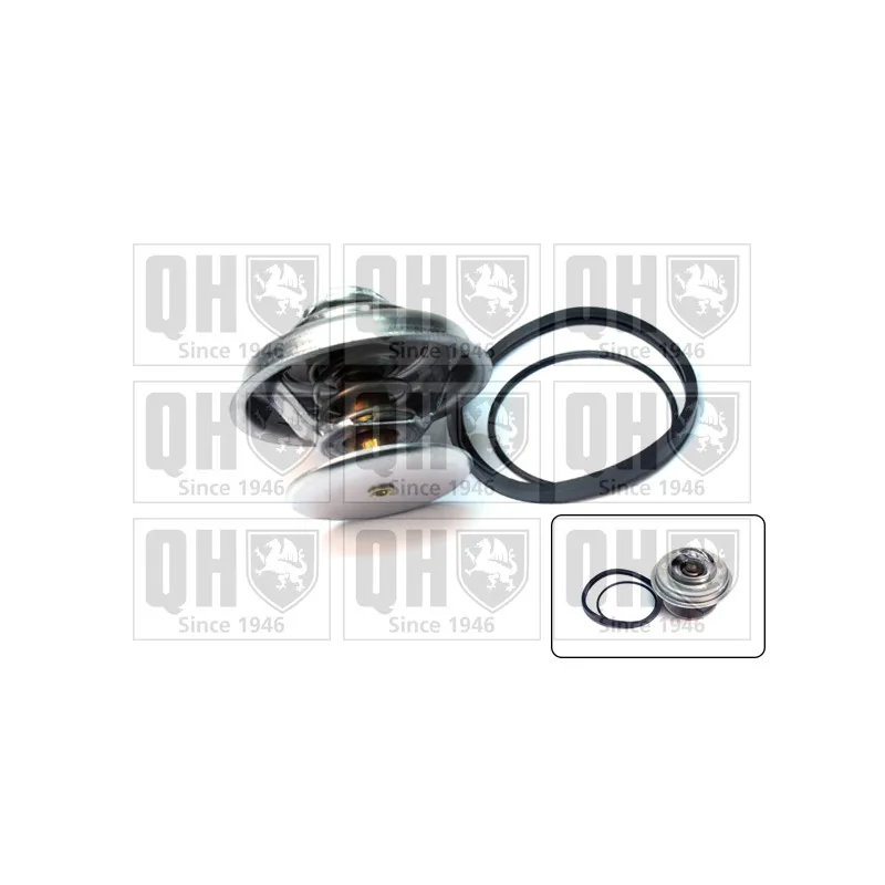 Thermostat d'eau QUINTON HAZELL QTH231K