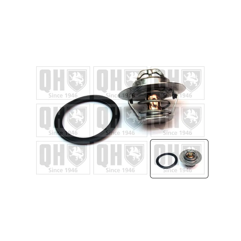 Thermostat d'eau QUINTON HAZELL QTH242K