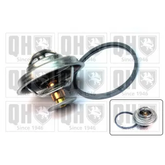 Thermostat d'eau QUINTON HAZELL QTH264K