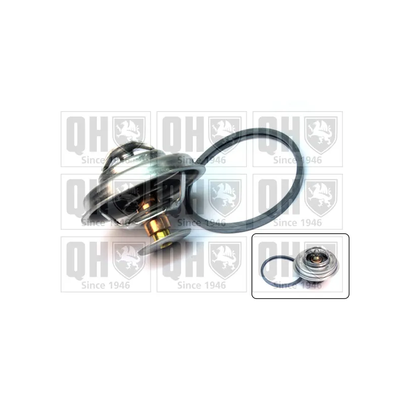 Thermostat d'eau QUINTON HAZELL QTH264K