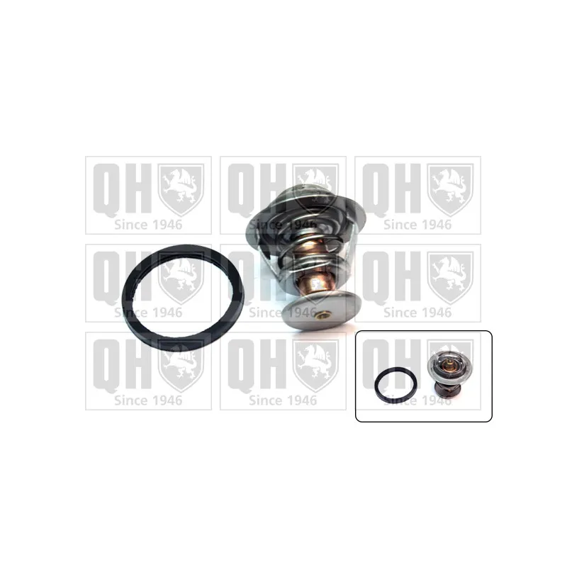 Thermostat d'eau QUINTON HAZELL QTH266K