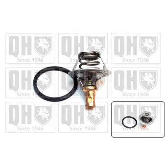 Thermostat d'eau QUINTON HAZELL QTH267K
