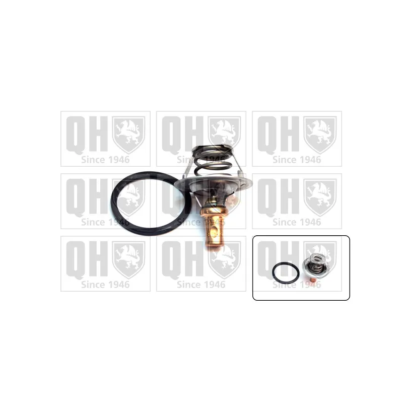 Thermostat d'eau QUINTON HAZELL QTH267K