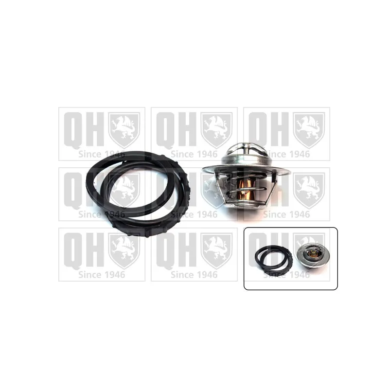 Thermostat d'eau QUINTON HAZELL QTH269K