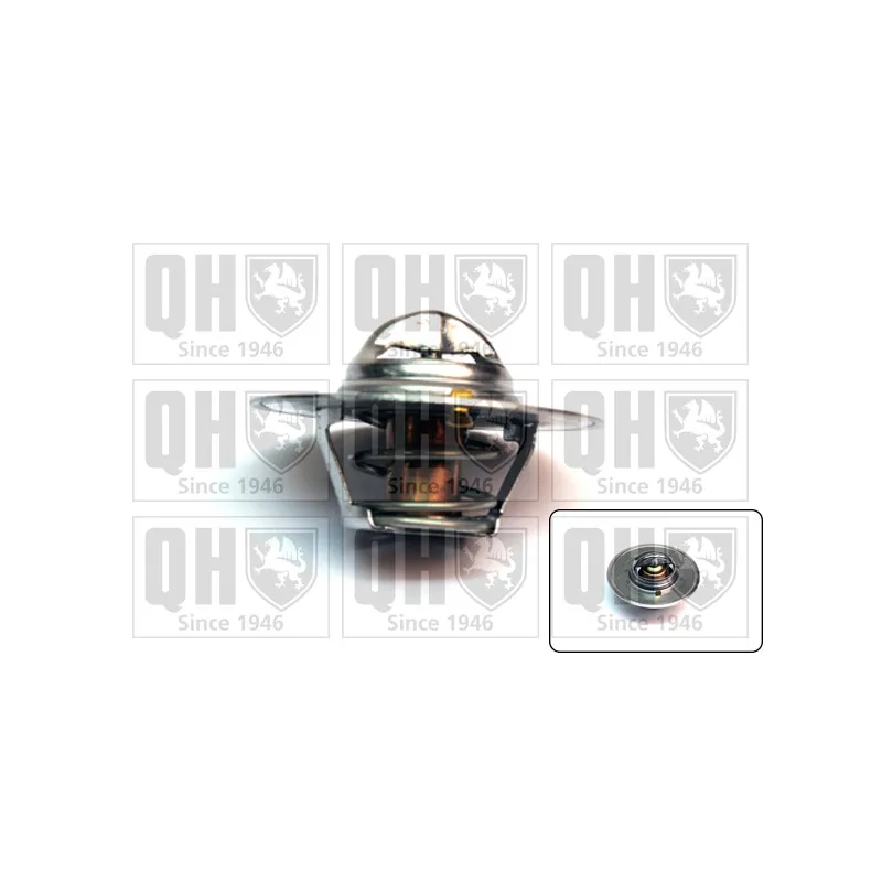 Thermostat d'eau QUINTON HAZELL QTH270