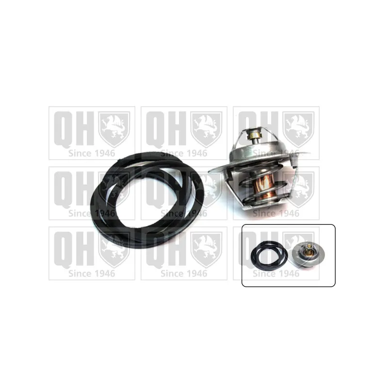 Thermostat d'eau QUINTON HAZELL QTH272K