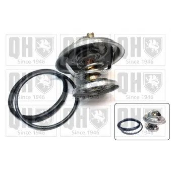 Thermostat d'eau QUINTON HAZELL QTH295K