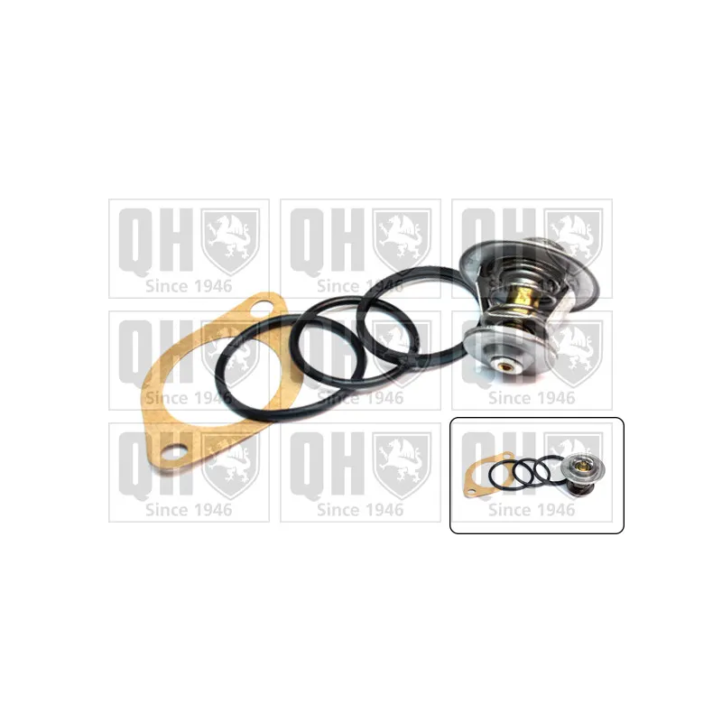 Thermostat d'eau QUINTON HAZELL QTH313K