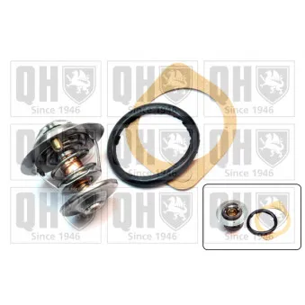 Thermostat d'eau QUINTON HAZELL QTH316K