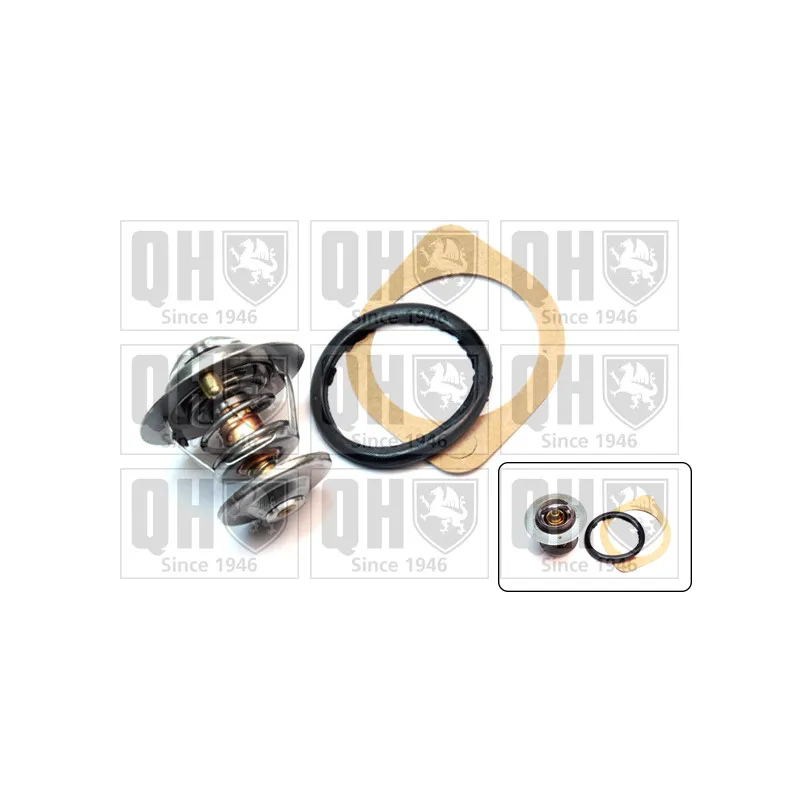 Thermostat d'eau QUINTON HAZELL QTH316K