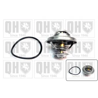 Thermostat d'eau QUINTON HAZELL QTH320K