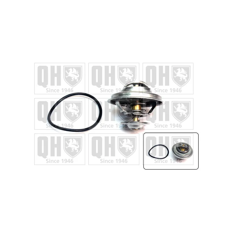 Thermostat d'eau QUINTON HAZELL QTH320K