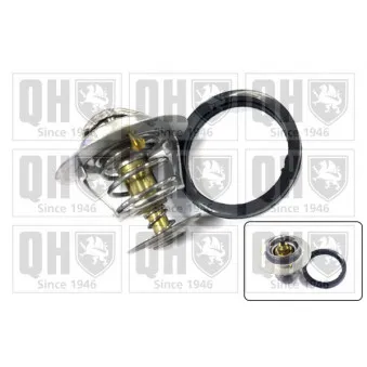 Thermostat d'eau QUINTON HAZELL QTH321K