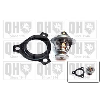 Thermostat d'eau QUINTON HAZELL