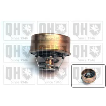 Thermostat d'eau QUINTON HAZELL QTH323K
