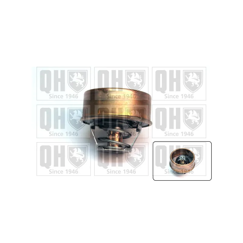 Thermostat d'eau QUINTON HAZELL QTH323K