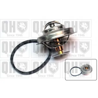 Thermostat d'eau QUINTON HAZELL QTH326K