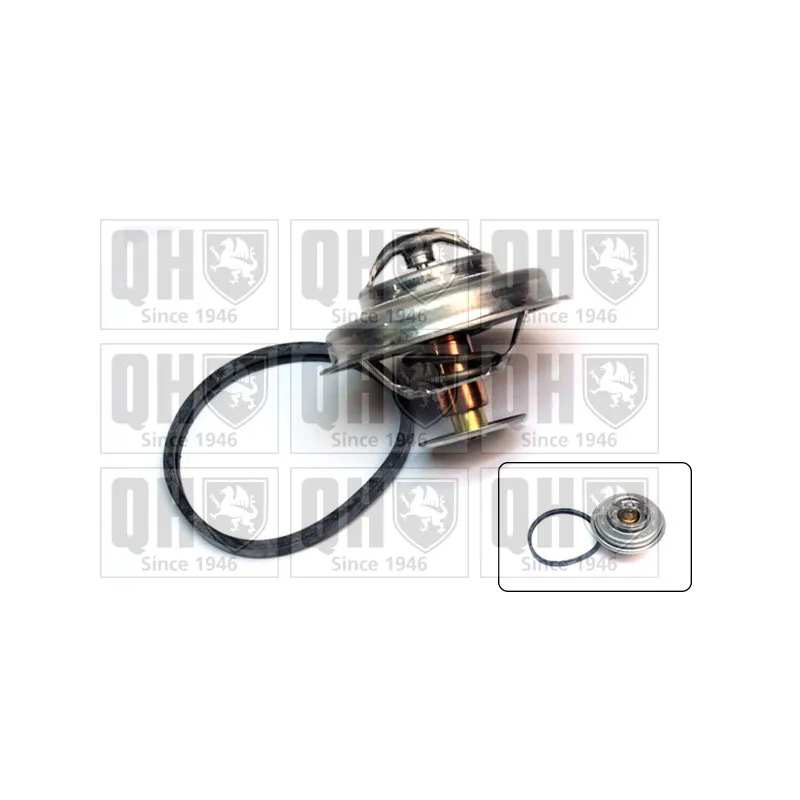 Thermostat d'eau QUINTON HAZELL QTH326K