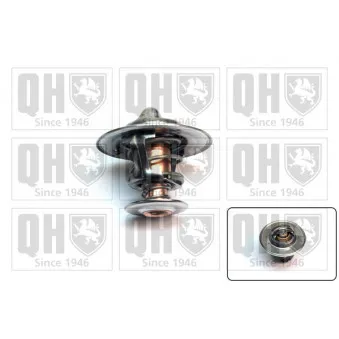 Thermostat d'eau QUINTON HAZELL QTH327
