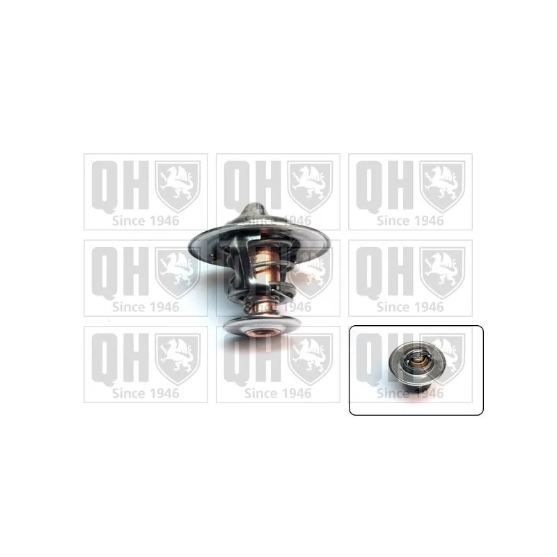 Thermostat d'eau QUINTON HAZELL QTH327