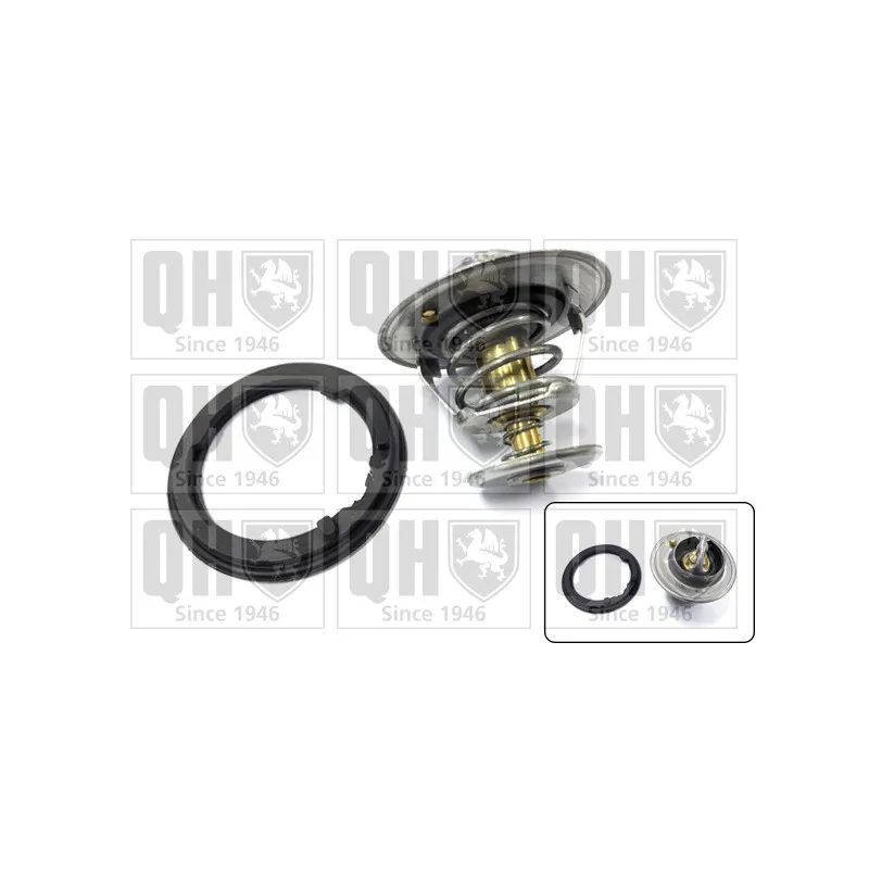 Thermostat d'eau QUINTON HAZELL QTH328K