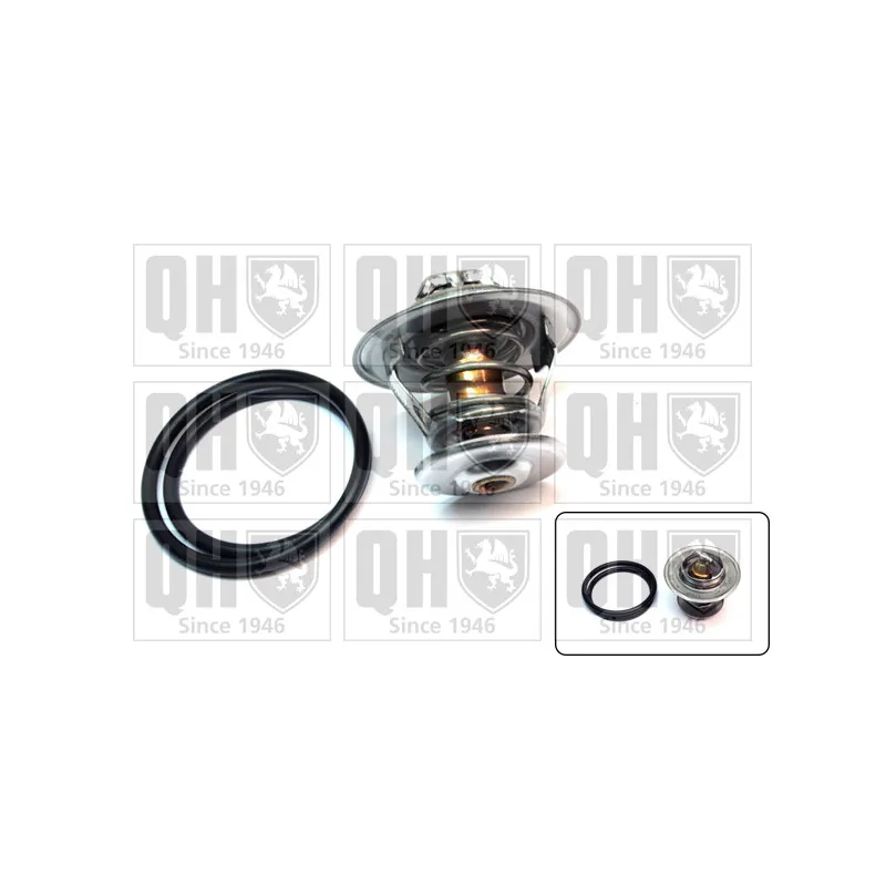 Thermostat d'eau QUINTON HAZELL QTH329K