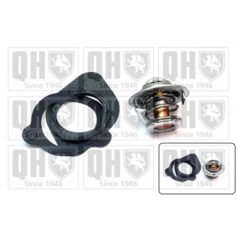 Thermostat d'eau QUINTON HAZELL QTH330K