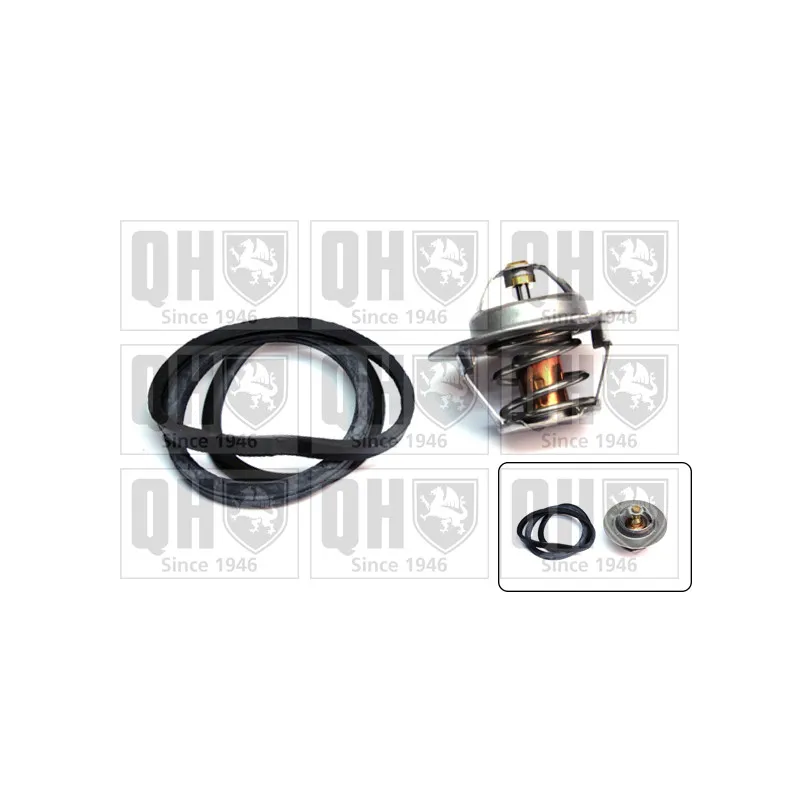 Thermostat d'eau QUINTON HAZELL QTH332K